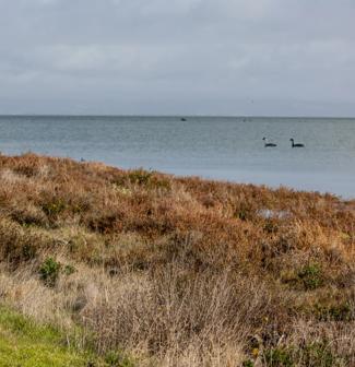 Man with binoculus looking at the sea