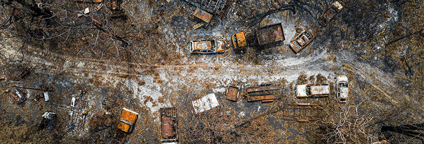 banner_243.jpg