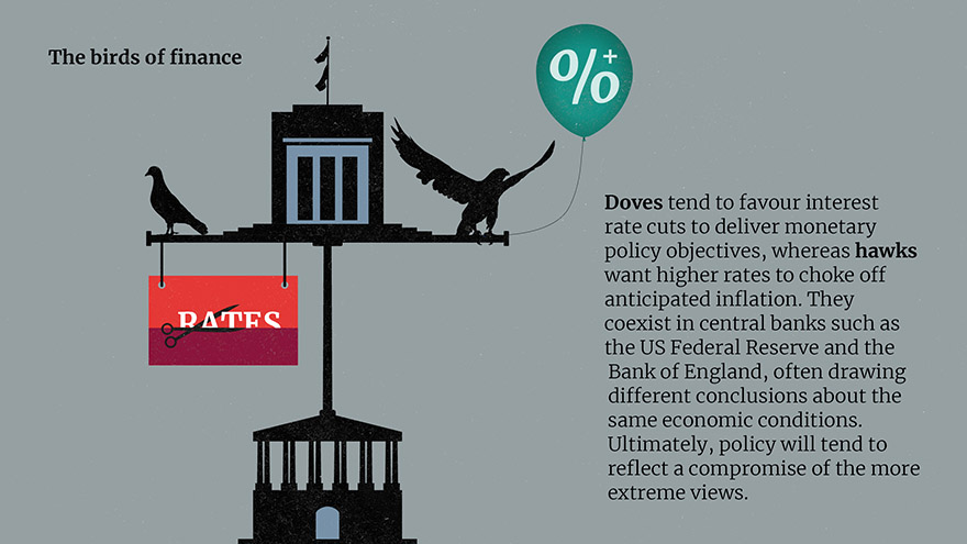 The birds of finance