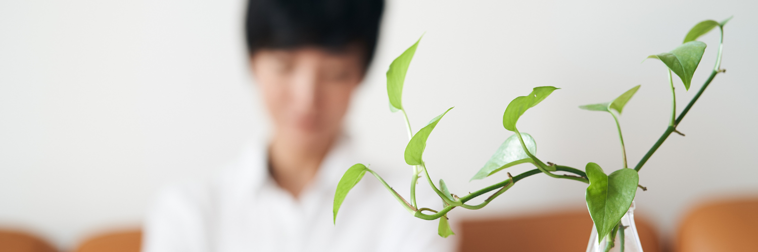 Investment Insights Series: Green Shoots for the Year of the Rabbit